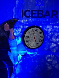Inside Icebar Orlando - Temperature