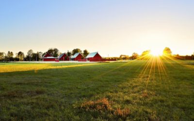 Agrihoods near Orlando – Options for a more sustainable lifestyle